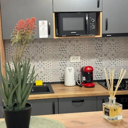 Luxury Glam Coresi Mall Area Apartment Brasov